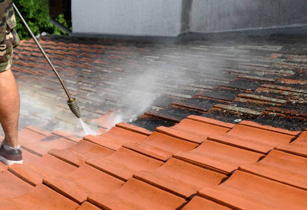 Best Sidewalk Pressure Washing  in Grambling, LA